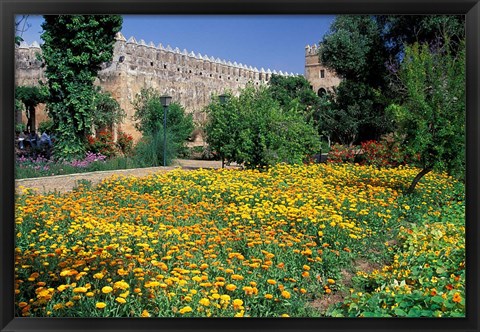 Framed Gardens and Crenellated Walls of Kasbah des Oudaias, Morocco Print