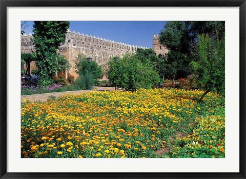 Framed Gardens and Crenellated Walls of Kasbah des Oudaias, Morocco Print