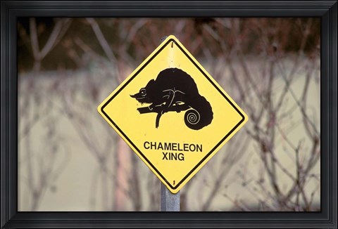 Framed Africa, Madagascar, La Madraka Farm. Sign post Print