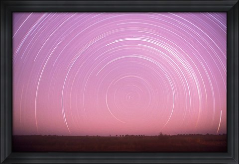 Framed Africa, Botswana, Linyanti Swamps. Star trails Print