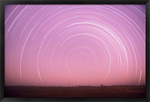 Framed Africa, Botswana, Linyanti Swamps. Star trails Print