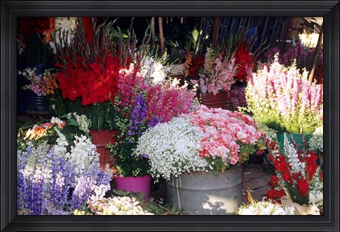 Framed Bunch of Flowers at the Market, Madagascar Print