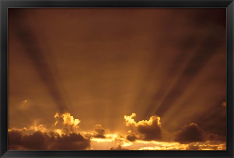 Framed Africa, Botswana. Dramatic sunbeams in the sky Print