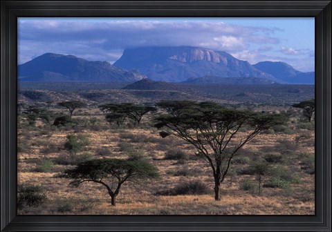 Framed Acacia and Distant Massif North of Mt Kenya, Samburu National Reserve, Kenya Print