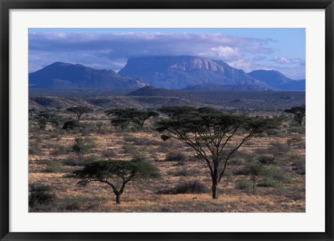 Framed Acacia and Distant Massif North of Mt Kenya, Samburu National Reserve, Kenya Print