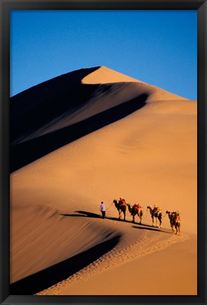 Framed Camel Caravan with Sand Dune, Silk Road, China Print