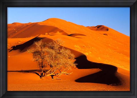Framed Elim Dune Overcomes, Sesriem, Namib Naukluft Park, Namibia Print