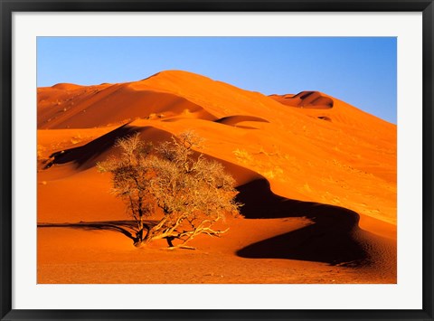 Framed Elim Dune Overcomes, Sesriem, Namib Naukluft Park, Namibia Print