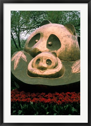 Framed China, Chengdu. Giant Panda bear, Sanctuary Print