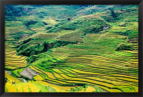 Framed China, Yuanjiang, Cloudy Sea Terrace, Agriculture Print