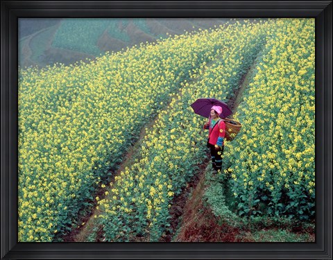 Framed Chinese Woman Walking in Field of Rapeseed near Ping&#39; an Village, Li River, China Print