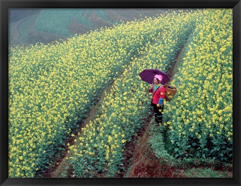 Framed Chinese Woman Walking in Field of Rapeseed near Ping&#39; an Village, Li River, China Print