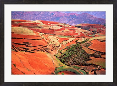 Framed China, Yunnan, Tilled Red Laterite, Agriculture Print