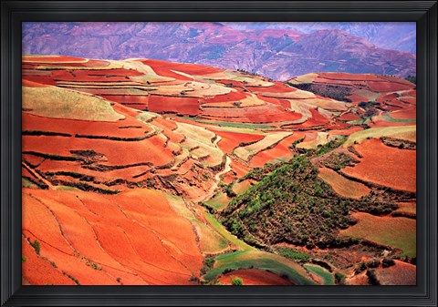 Framed China, Yunnan, Tilled Red Laterite, Agriculture Print