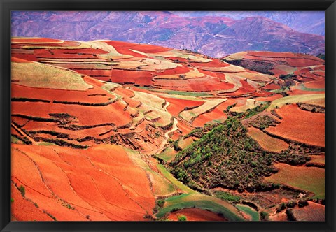 Framed China, Yunnan, Tilled Red Laterite, Agriculture Print