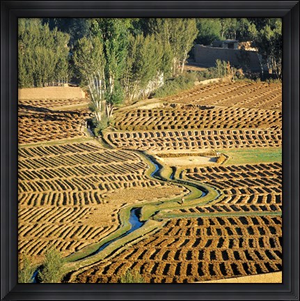 Framed Afghanistan, Bamian Valley, Farmland and irrigation Print