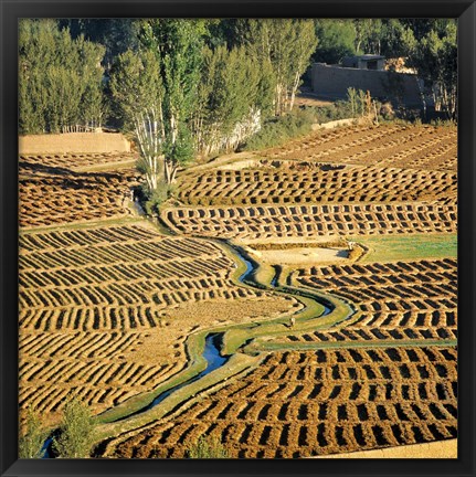 Framed Afghanistan, Bamian Valley, Farmland and irrigation Print