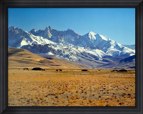 Framed Afghanistan, Bamian Valley, Mountains, Kuchi camp Print