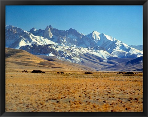 Framed Afghanistan, Bamian Valley, Mountains, Kuchi camp Print