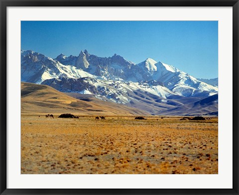 Framed Afghanistan, Bamian Valley, Mountains, Kuchi camp Print