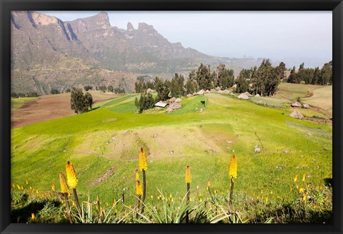 Framed Amiwalka, Semien Mountains National Park, Ethiopia Print