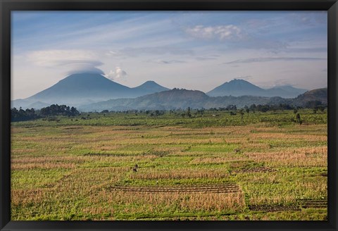 Framed Farmland around Kisoro, Kigezi, Africa Print