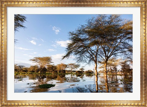 Framed Flooded shoreline, Lake Naivasha, Crescent Island Game Park, Kenya Print