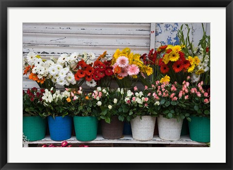 Framed Flower Market, Port Louis, Mauritius Print