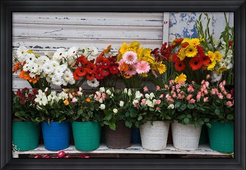 Framed Flower Market, Port Louis, Mauritius Print