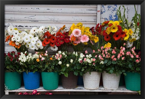 Framed Flower Market, Port Louis, Mauritius Print