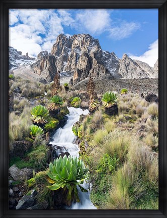 Framed Central Mount Kenya National Park, Kenya Print