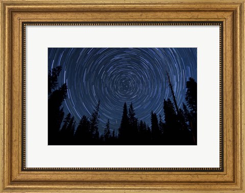 Framed Star trails and a meteor above pine trees in Lassen Volcanic National Park Print