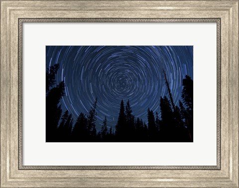 Framed Star trails and a meteor above pine trees in Lassen Volcanic National Park Print