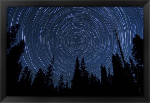 Framed Star trails and a meteor above pine trees in Lassen Volcanic National Park Print