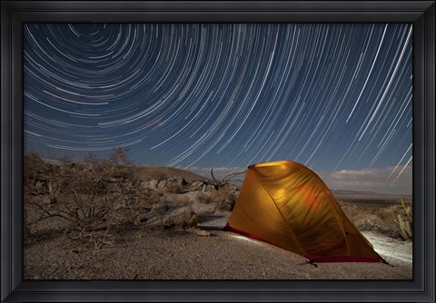 Framed Star trails above a campsite in Anza Borrego Desert State Park, California Print