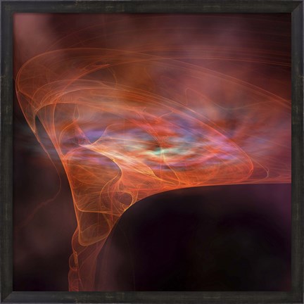 Framed vortex field of a black hole Print