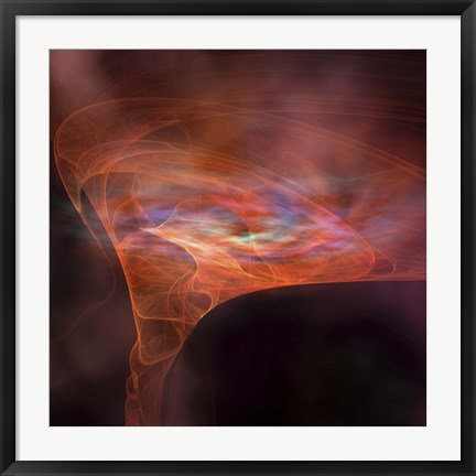 Framed vortex field of a black hole Print