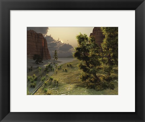 Framed trees are kissed by sunlight before an approaching storm Print