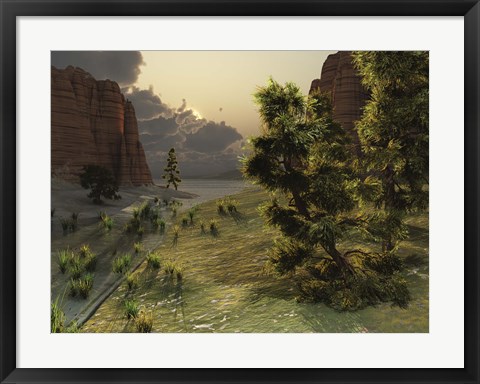 Framed trees are kissed by sunlight before an approaching storm Print