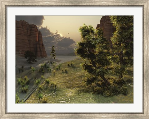 Framed trees are kissed by sunlight before an approaching storm Print