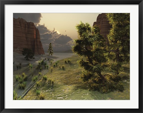 Framed trees are kissed by sunlight before an approaching storm Print