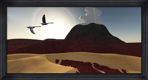 Framed Two swans fly over cooling lava flows from a recently active volcano Print