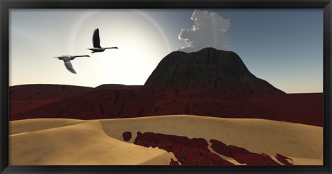 Framed Two swans fly over cooling lava flows from a recently active volcano Print