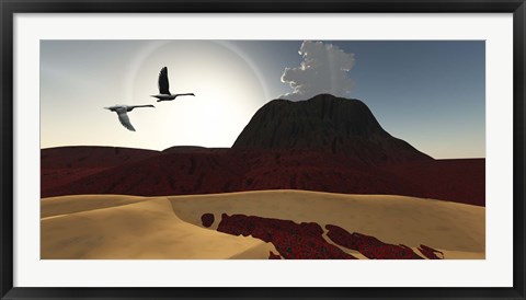 Framed Two swans fly over cooling lava flows from a recently active volcano Print