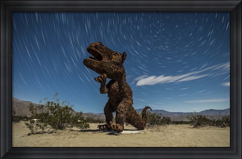 Framed Tyrannosaurus rex sculpture against a backdrop of star trails, California Print