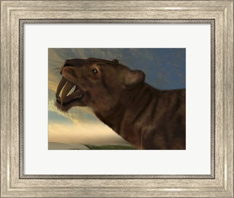 Framed Saber-Tooth Cat with dagger like front canine teeth Print