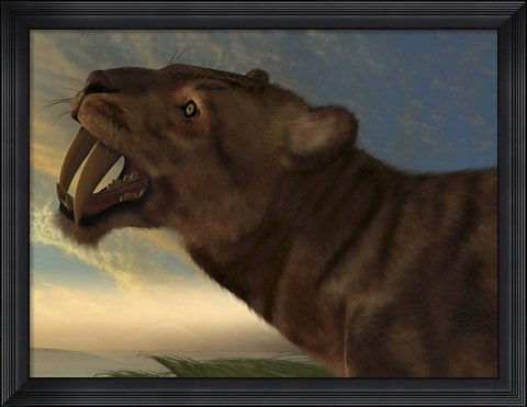Framed Saber-Tooth Cat with dagger like front canine teeth Print