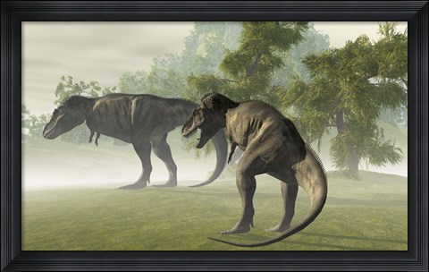 Framed Two Tyrannosaurus Rex rest in the early morning light before the days hunt Print