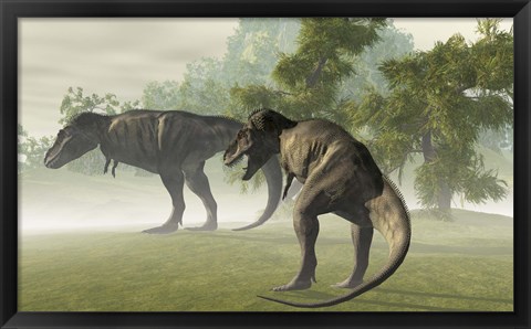 Framed Two Tyrannosaurus Rex rest in the early morning light before the days hunt Print