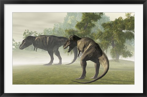 Framed Two Tyrannosaurus Rex rest in the early morning light before the days hunt Print